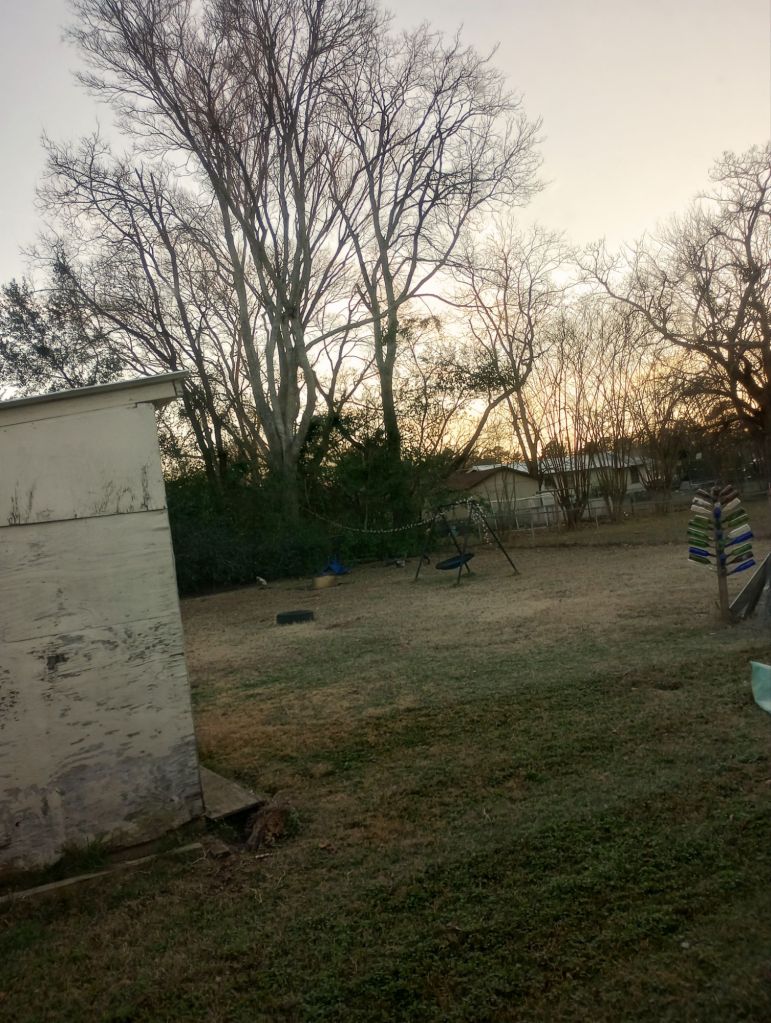 img_20250112_171933368_hdr1443057686445639849