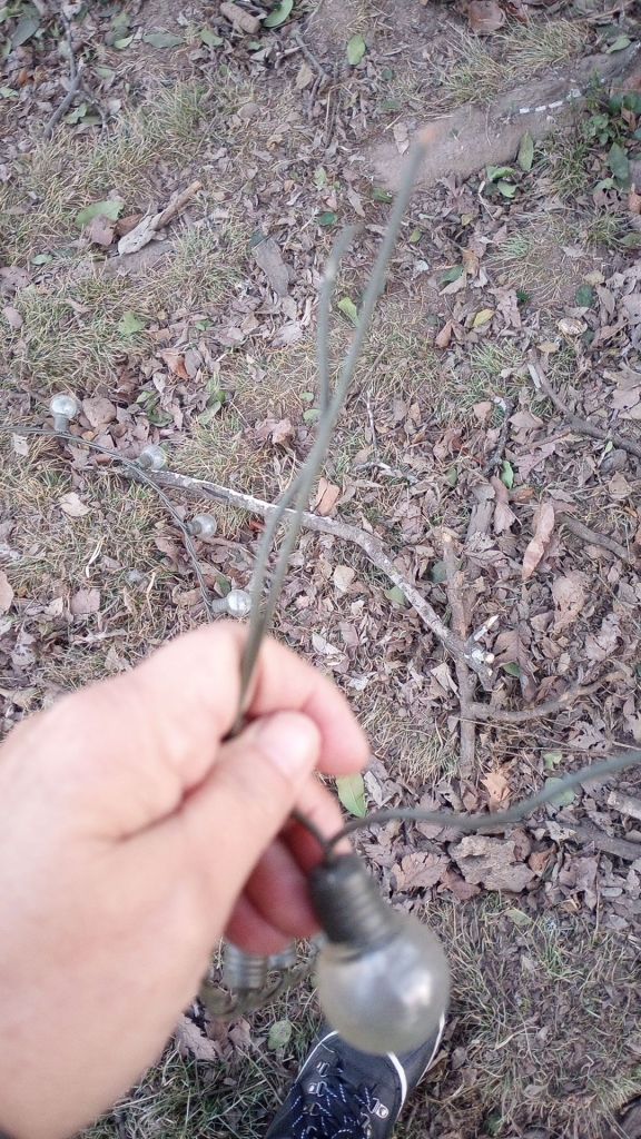 img_20250122_1746005915197076630248438782