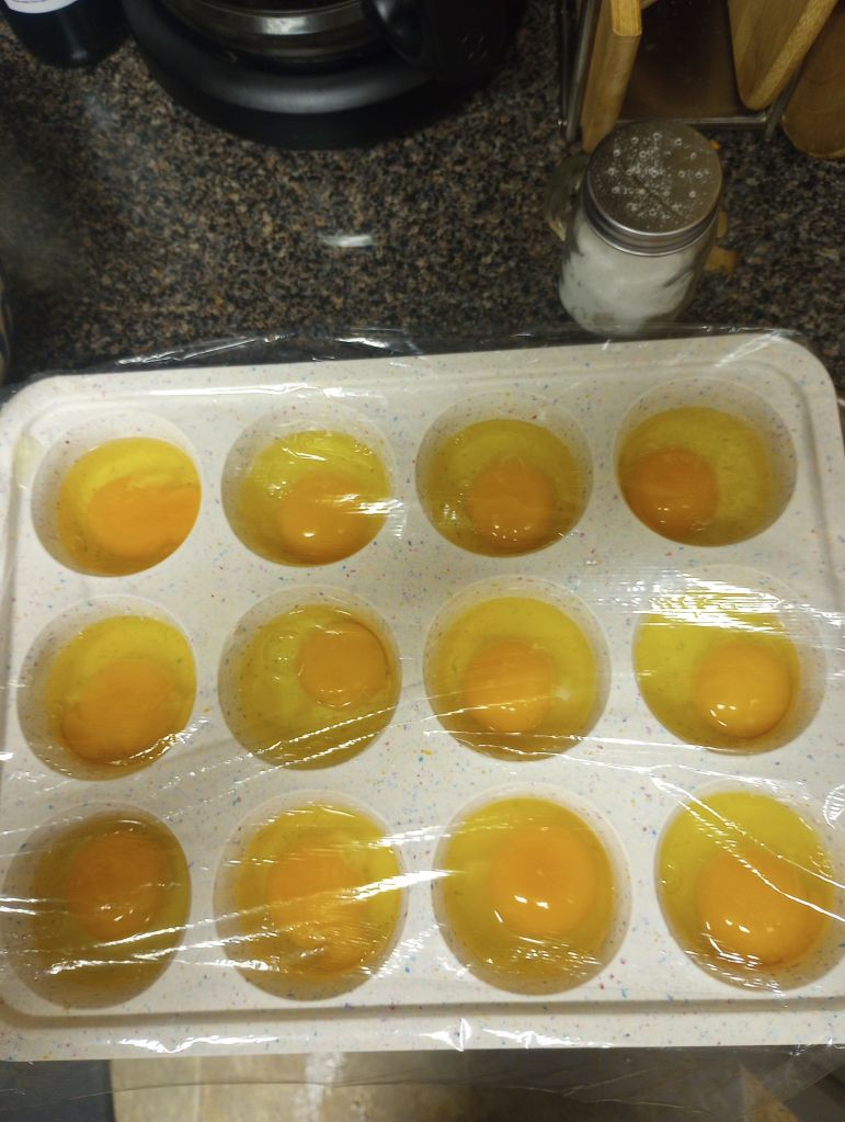 img_20250404_1103570721524299124643306405