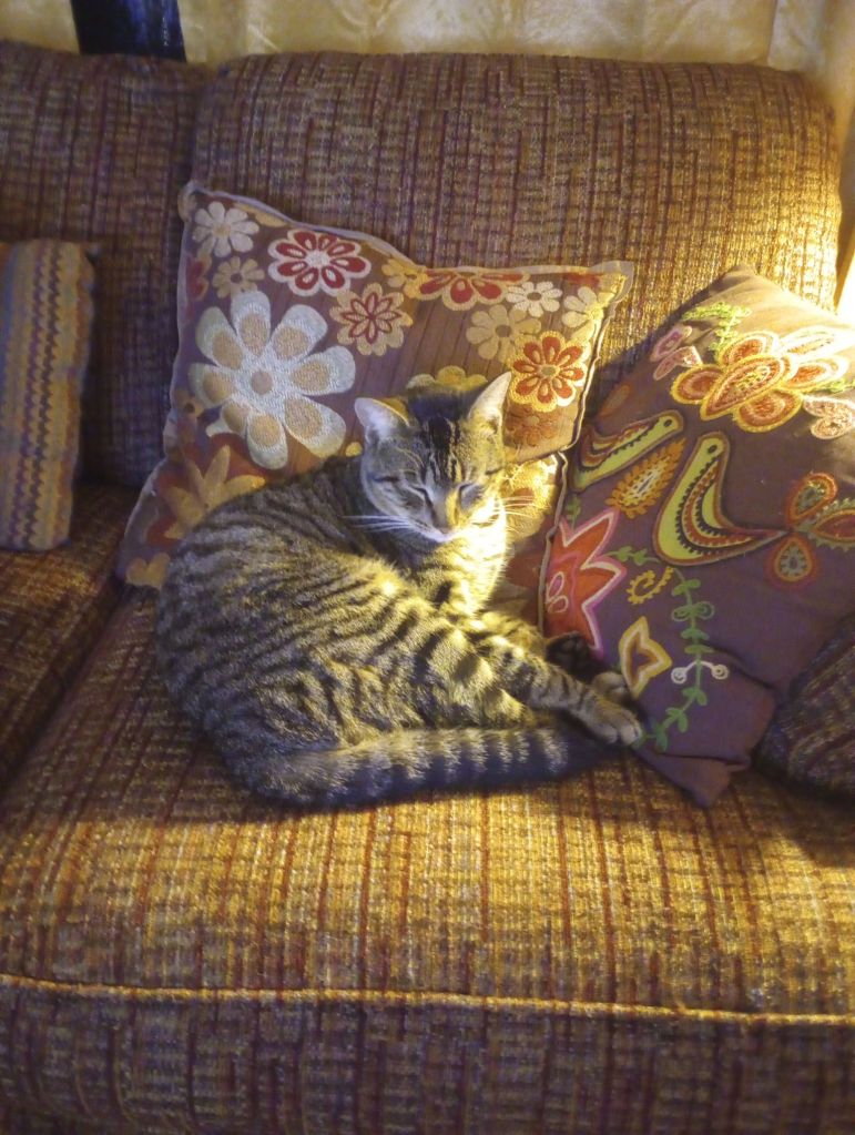 img_20251229_211330945561200597068544128