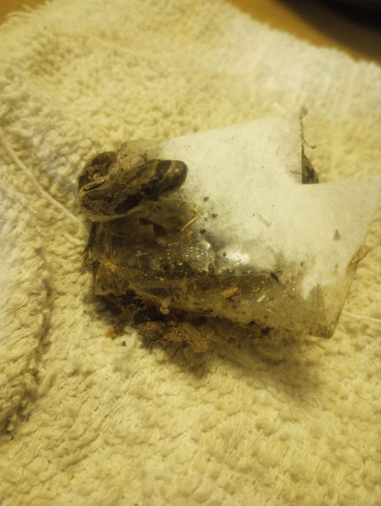 img_20251228_1737274333200855337616625901