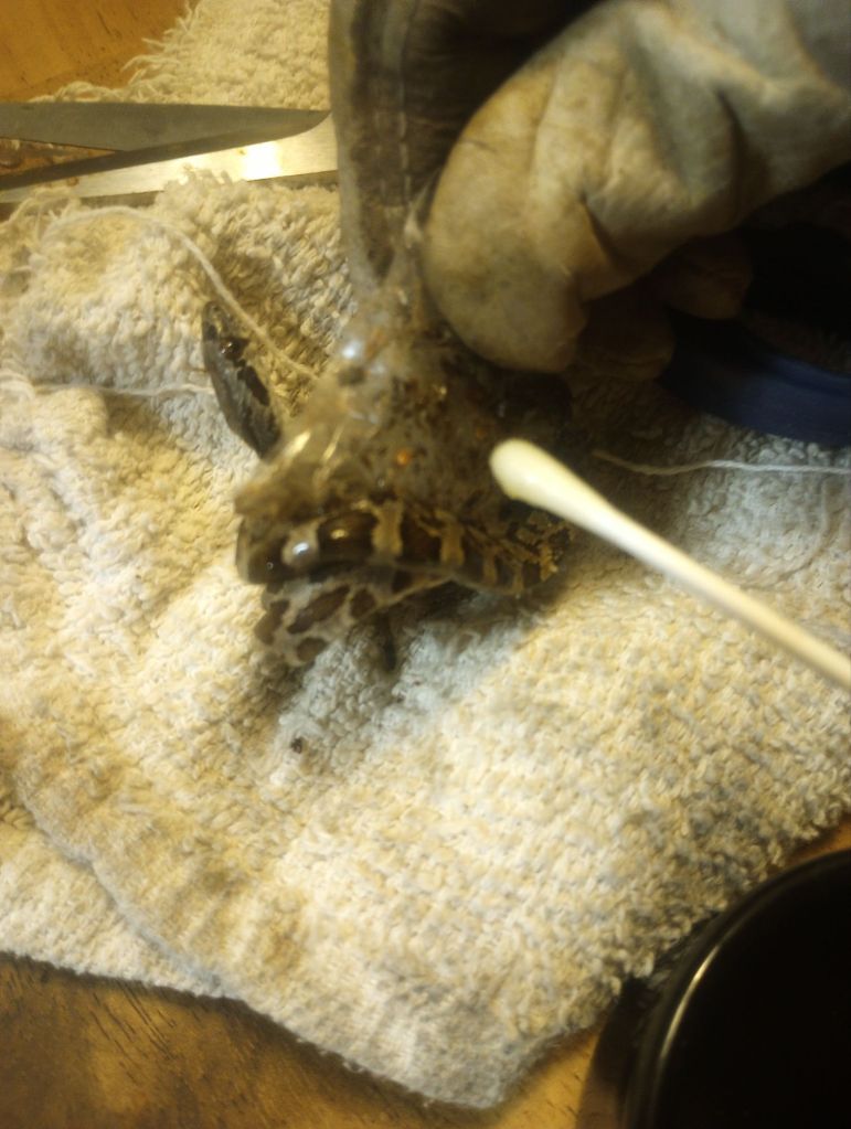 img_20251228_1740102038899561864563716440