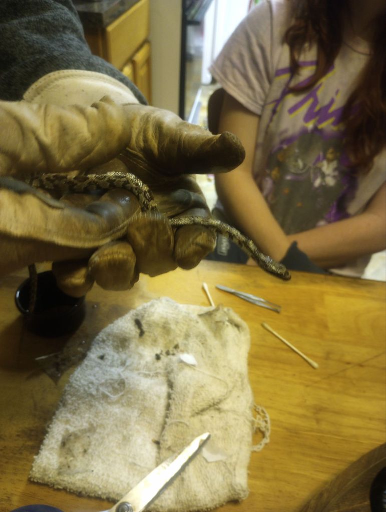 img_20251228_1756196283217264545558056383