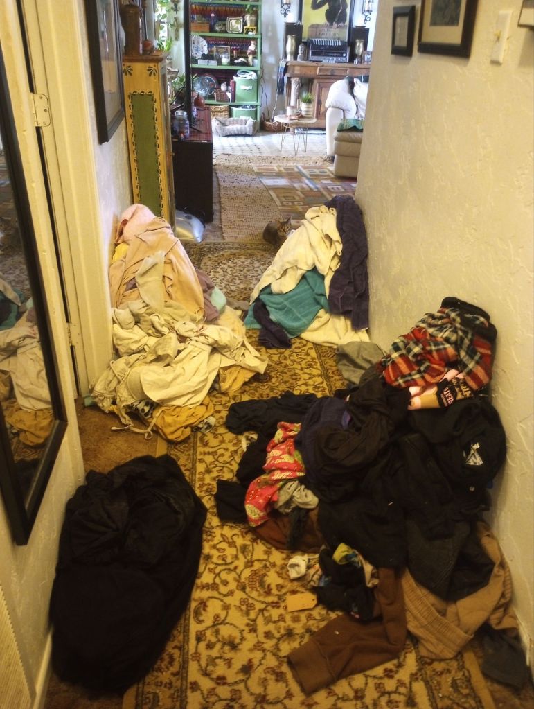 img_20260106_1032477279120164602738897046