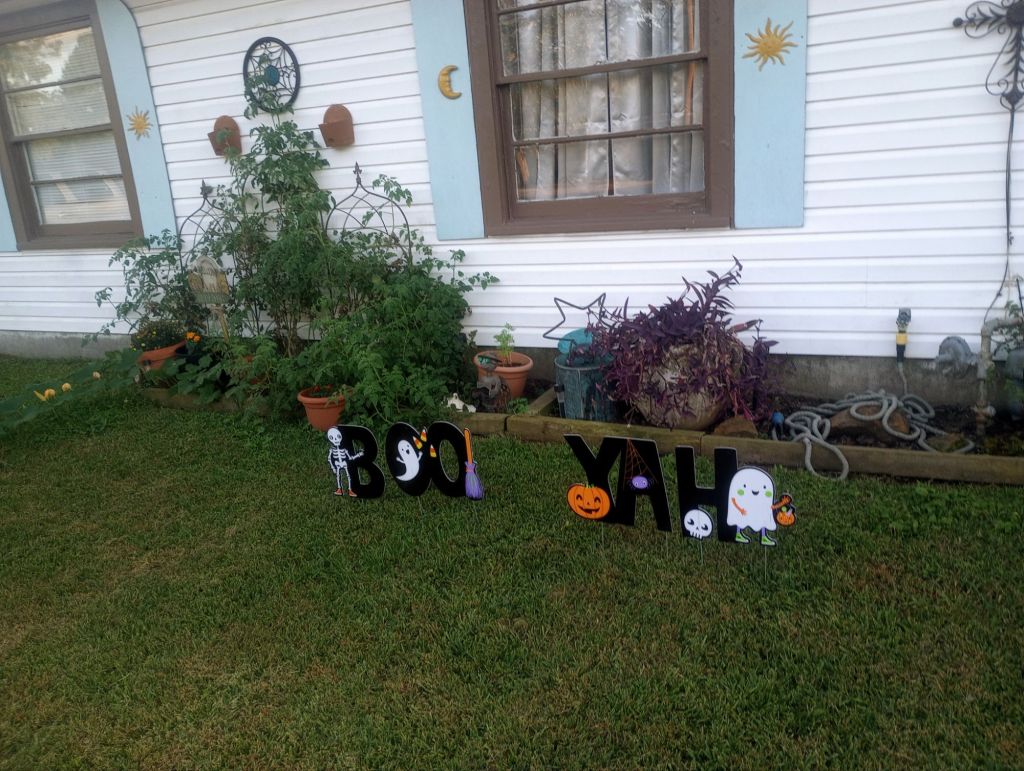 img_20251006_1813372685850969793107516598