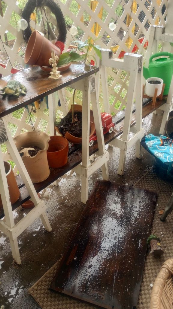 img_20260315_171215305_hdr3370183653885760603