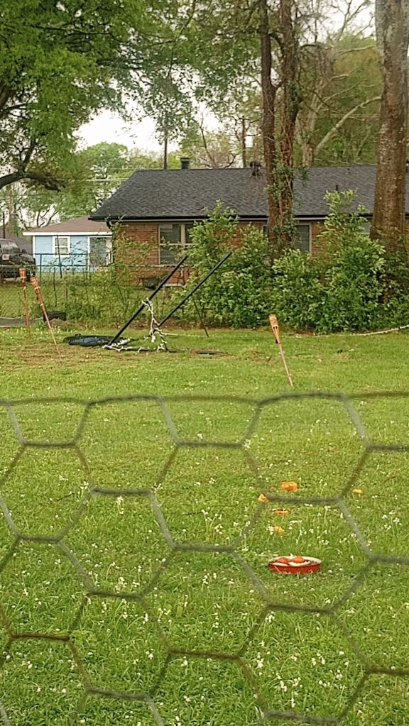 img_20260315_1720072096028002603470166089