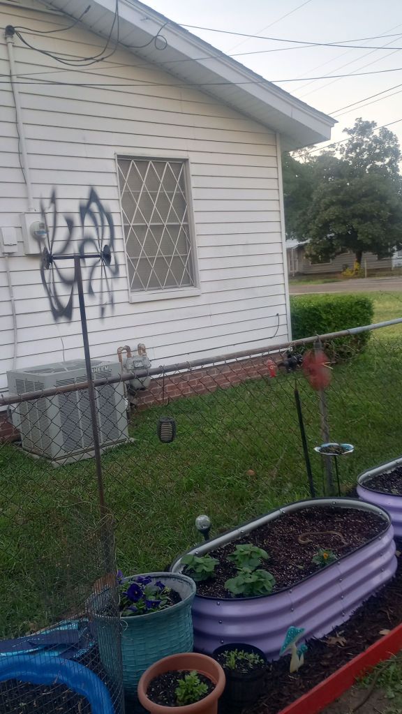 img_20260315_190356140_hdr1131709221911441037