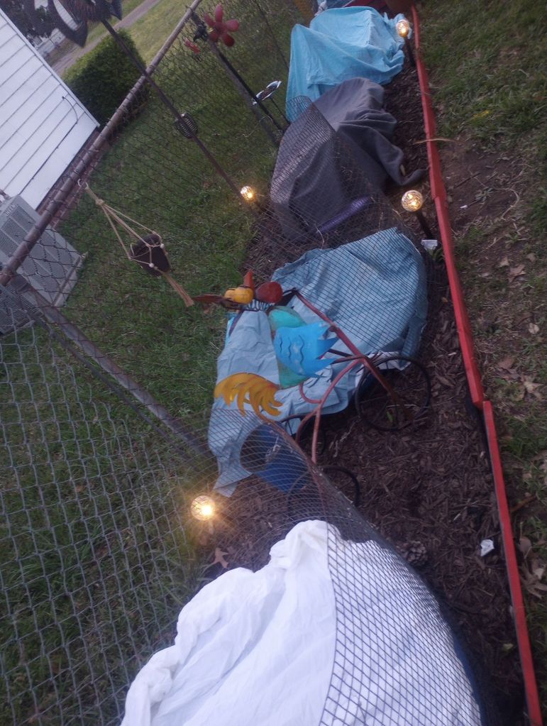 img_20260316_1934040103604181669264932445