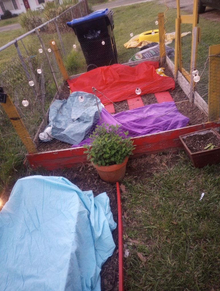 img_20260316_1934138257791050003709810970