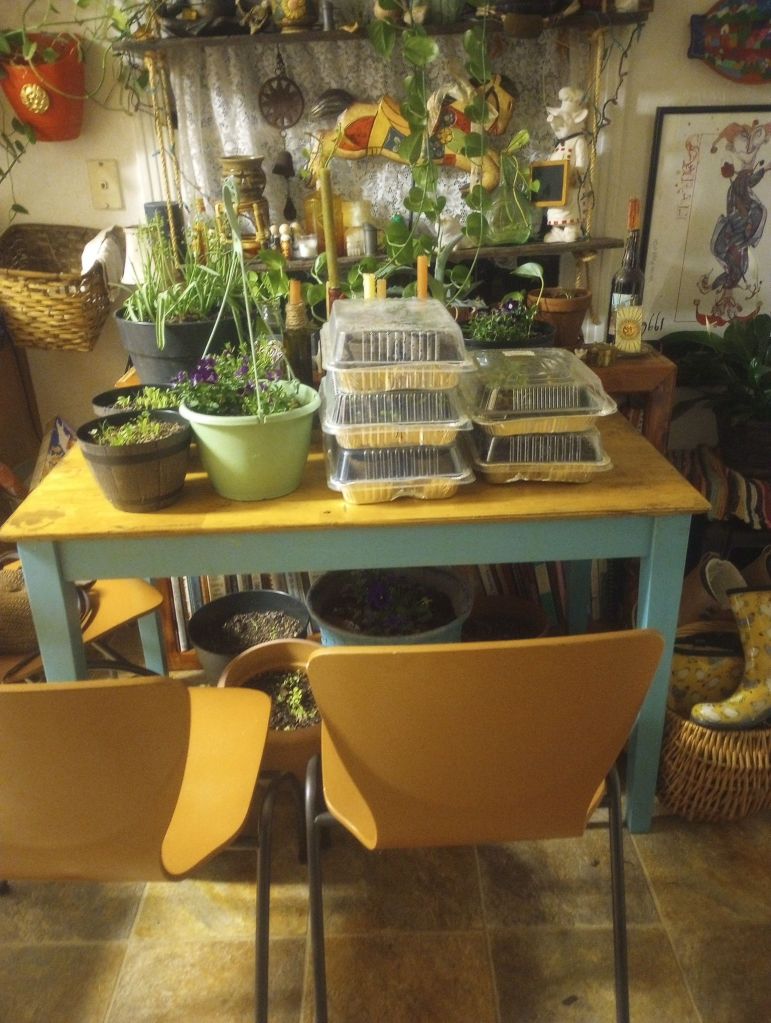 img_20260316_215728840479518958352908846