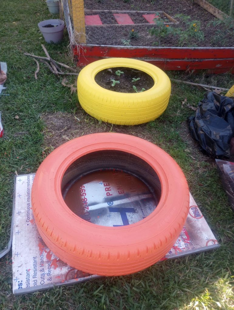 img_20260321_1705167753700565320250405353